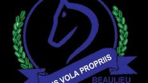 GR 11 STATS 2 WAY CONTINGENCY TABLES