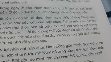 TV.T2.S. Cuộc giải cứu bên bờ biển.