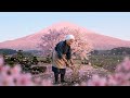 She has tended this garden forfifty years.The mountain isturning pink | PeacefulCountryside Life