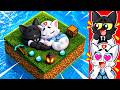 REACCIONANDO a GATOS ATRAPADOS en un BLOQUE en MINECRAFT!?