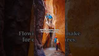 The first day of spring is only 3 weeks away! 🌸🌱