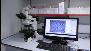 MacDermid R&D capabilities
