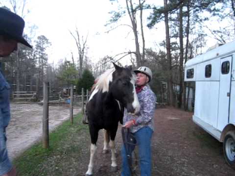 How to Bridle a Horse by Donna West Interview by D...