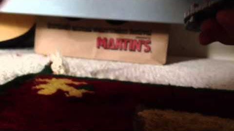 Did I get a fake strider ?