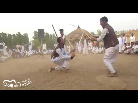 رقصة الصقرية