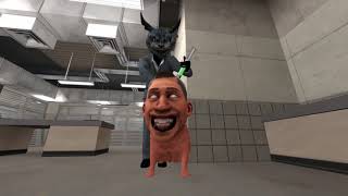 Bow Wow Dog - Season 8 All Episodes