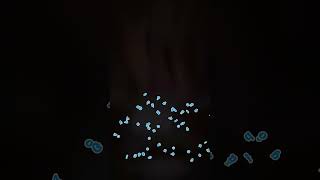 HCMUS Đào Tạo Vi Mạch – Dẫn Đầu Kỷ Nguyên Số! #hcmus Information