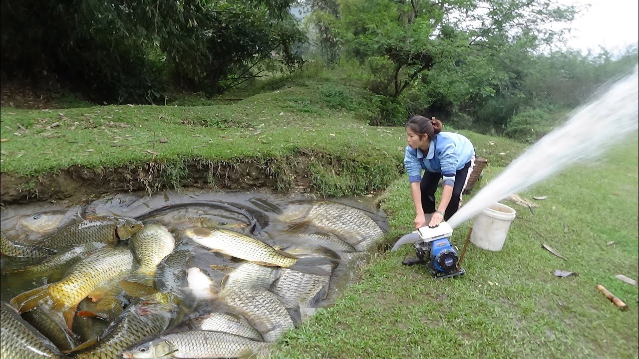 Amazing Fishing Techniques - Use a pump to suck all the water in the ...