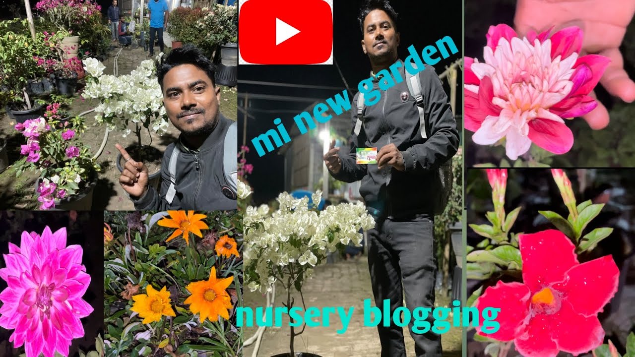 plant nursery visit cheapest plant nursery in bongaigaon best flowers 🌺