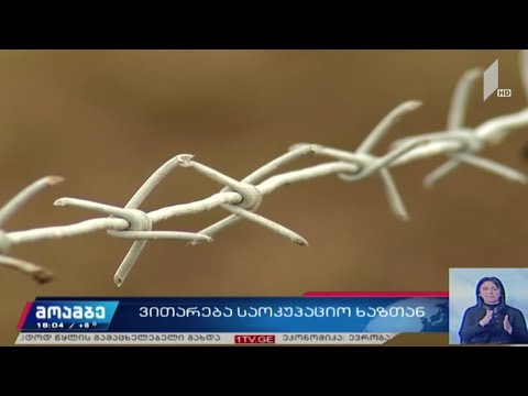 ვითარება საოკუპაციო ხაზთან - შეფასებები