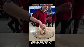The Orange Vortex Experiment 😲