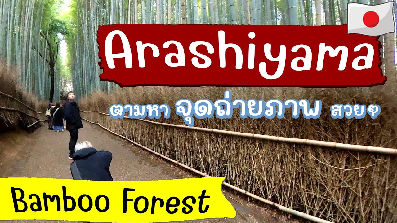 เที่ยว Arashiyama เดินป่าไผ่ ตามเส้น ทางยอดนิยม เกียวโต เที่ยวญี่ปุ่นด้วยตัวเอง | Japan Travel