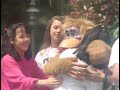 Beginning of video
