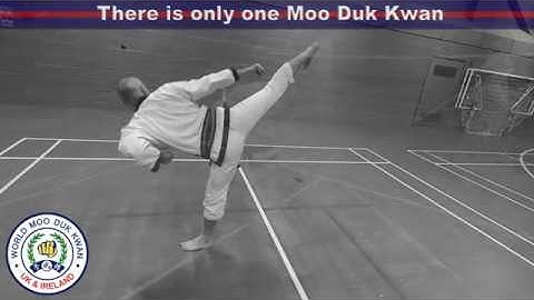 Soo Bahk Do Kong Sang Koon Hyung