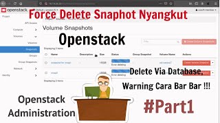 openstack force delete snapshot yang nyangkut gak bisa di hapus, via database #openstack indonesia
