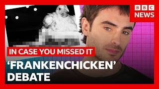 Animal welfare vs sustainability - the ‘Frankenchicken’ debate explained | In Case You Missed It