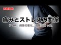 背中の痛みはストレスが原因なの？原因や対処法について医師が解説します