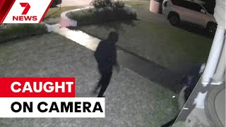 Celebrity Machete-wielding thugs caught on camera | 7NEWS Net Worth