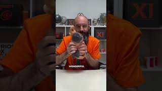 A study in perception, made soft! #vsauce #science #sciencefacts #psychology #physics