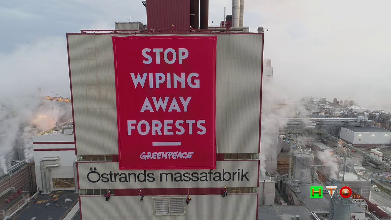 GREENPEACE NORDIC blocca ingressi stabilimento svedese Östrand - www.HTO.tv