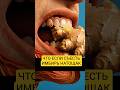 Что если съесть имбирь натощак #здоровье #полезныесоветы #правильноепитание #имбирь