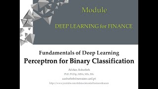 DL(8)-Perceptron for Binary Classification and Credit Scoring