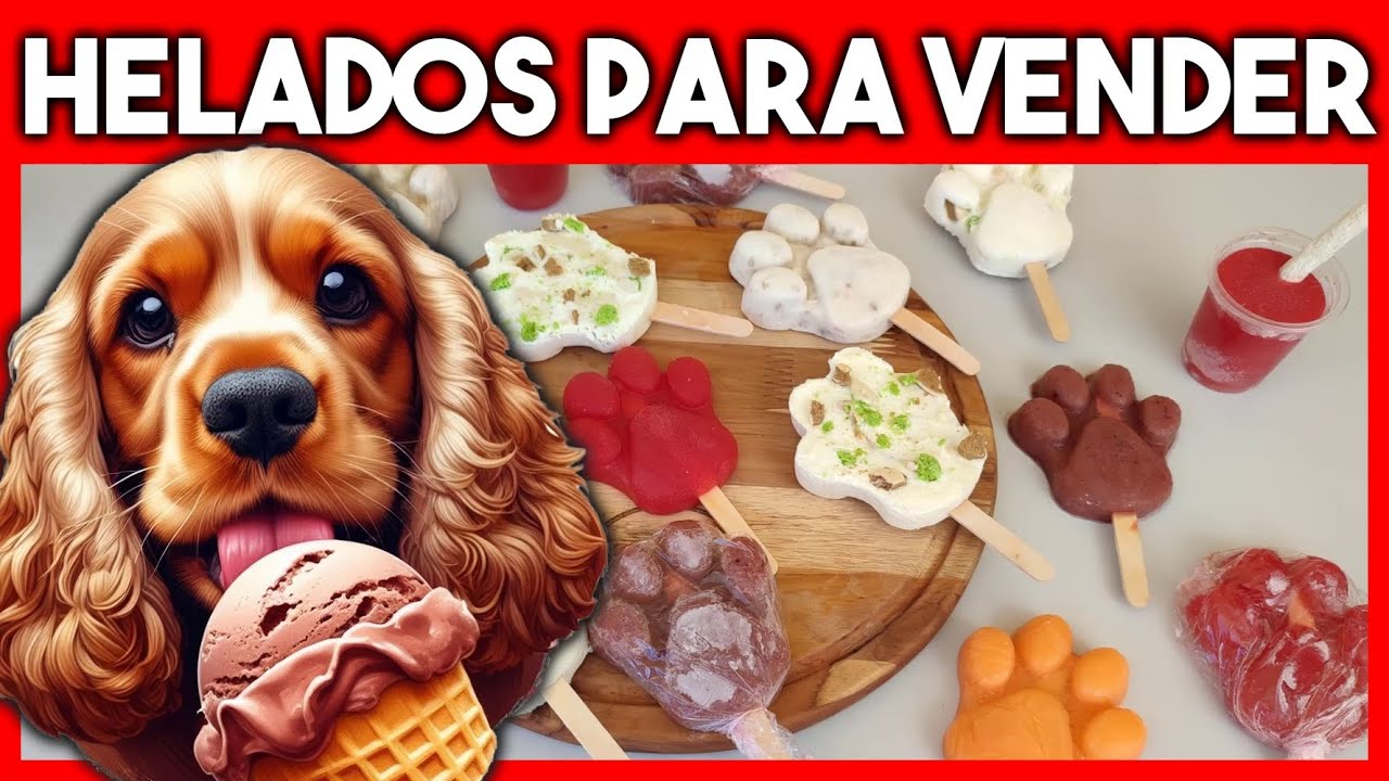 💲¡Receta MILLONARIA! Helados Para PERROS Negocio EXITOSO