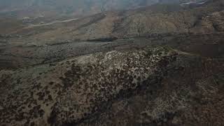 Volando en las Cardas 2