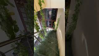 House Stairs Money Plant Decor Ideas Kanishka Hi-Tech Nursery Greater Noida