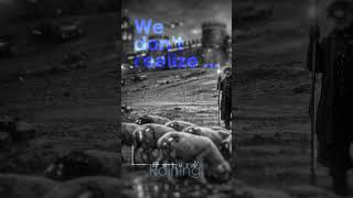 fF u t u r Ö' Raining ➿ ➰#punkart 💦 Manifestation  #shorts #live #realize #future #sheeps