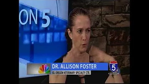 Five on 5 - Dr. Allison Foster - Southern Oregon V...