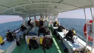 CUBA   2016   Cayo Piedras Reef 720p ProRes