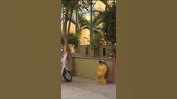 ROTO-PAINT USING NUKE S/W #shorts #vfxbreakdown #vfx #nuke #vfxpack #vfxartist #vfxindia