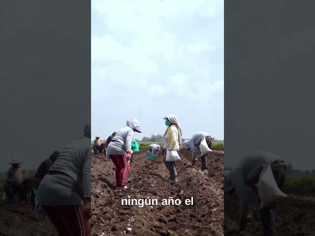 Efectos del Fenómeno El Niño en San Dionisio, Matagalpa