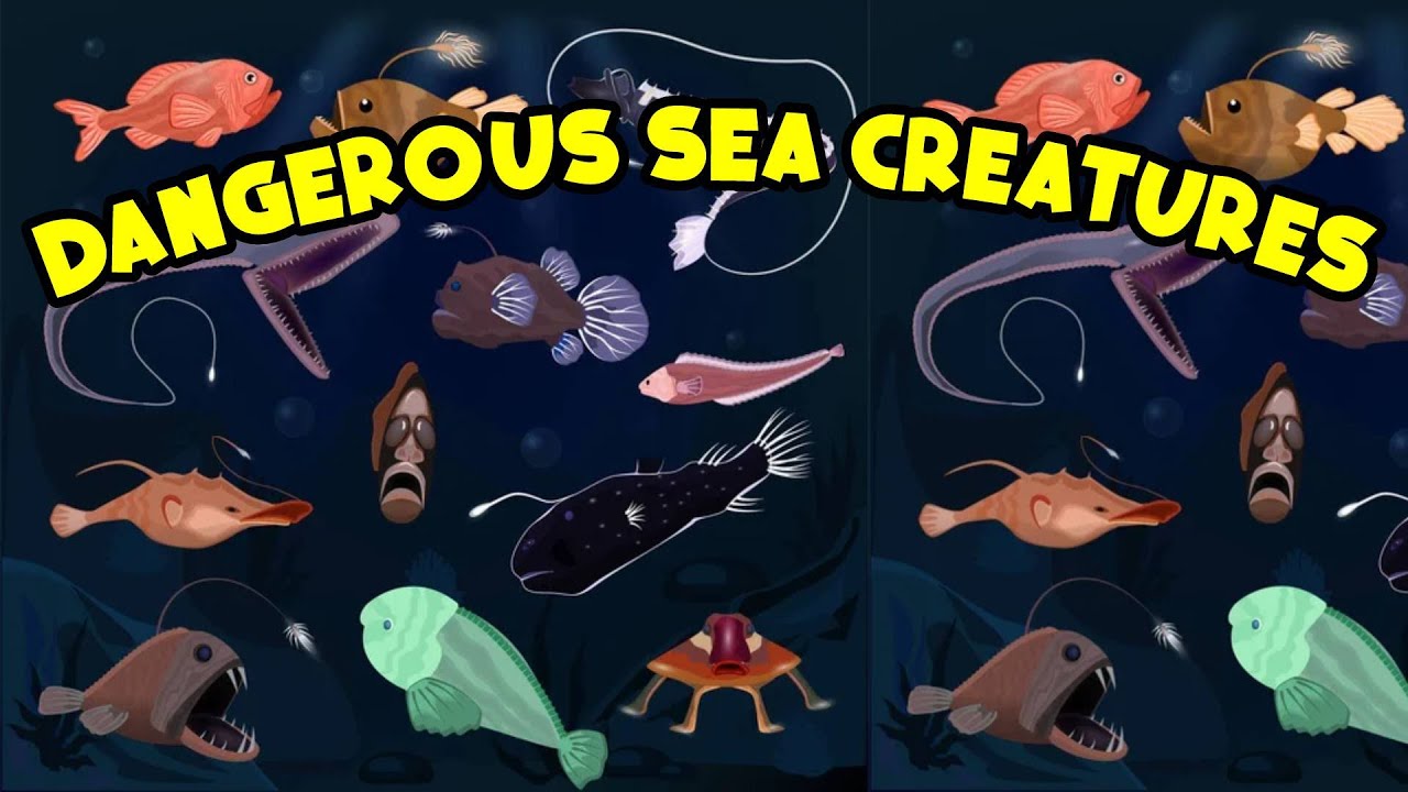 Unveiling the Most Dangerous Sea Creature