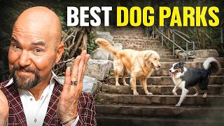 Toronto’s Best Dog Parks You Must Visit | Hidden Gems & Local Favorites! EP. 1