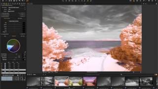 CaptureOne8 workflow for Infrared converted camera Net Worth