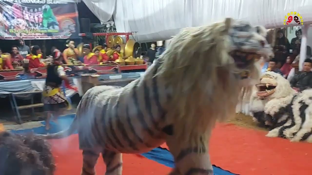 barongan putri turonggo budoyo ebeg siranti wanadri bawang banjarnegara live glempang binangun