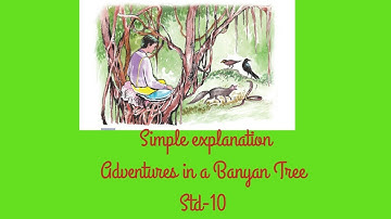 Adventures in a Banyan Tree