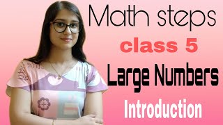 Celebrity Math Steps 5 Large Numbers Introduction Net Worth