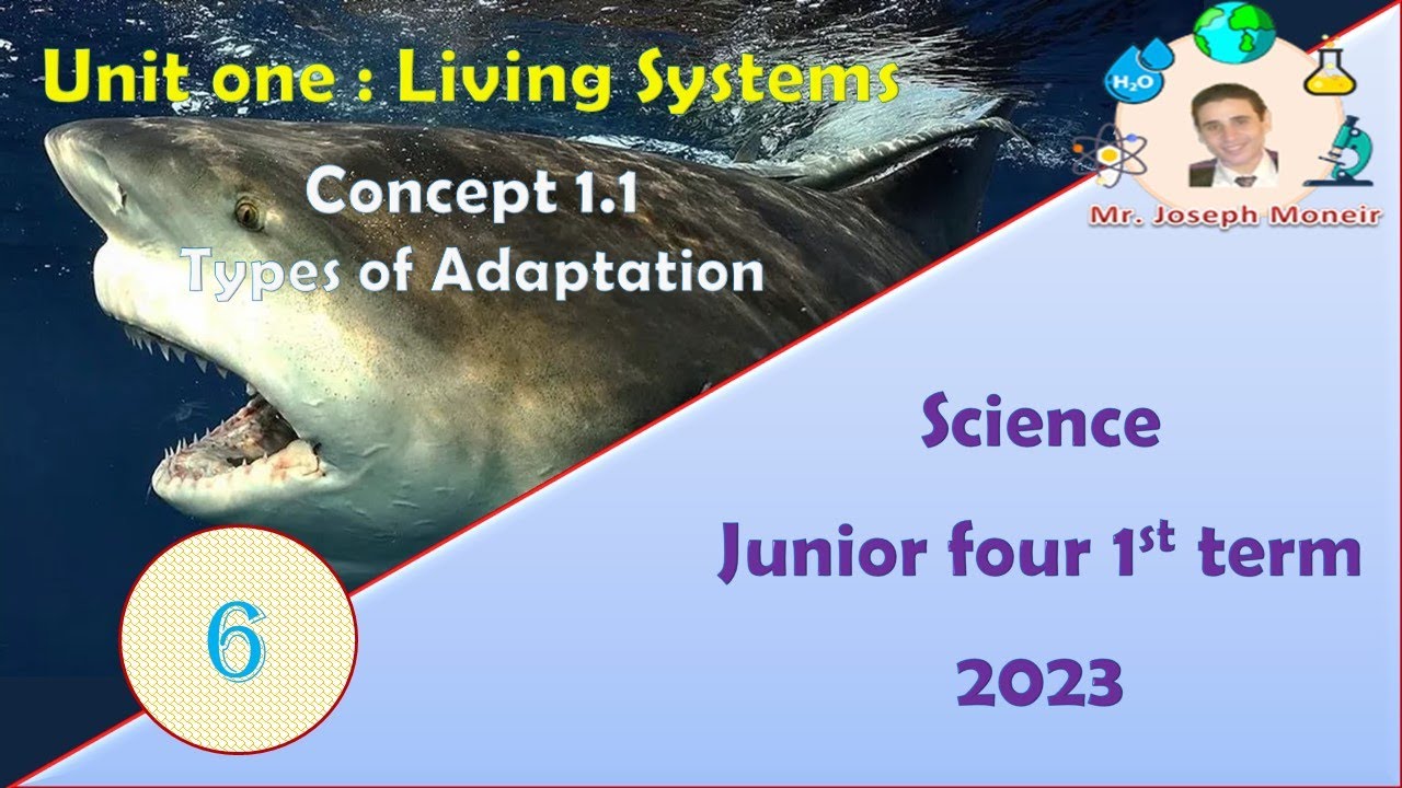 (6) Concept 1.1 : Adaptation and Survival - Types of Adaptation ...