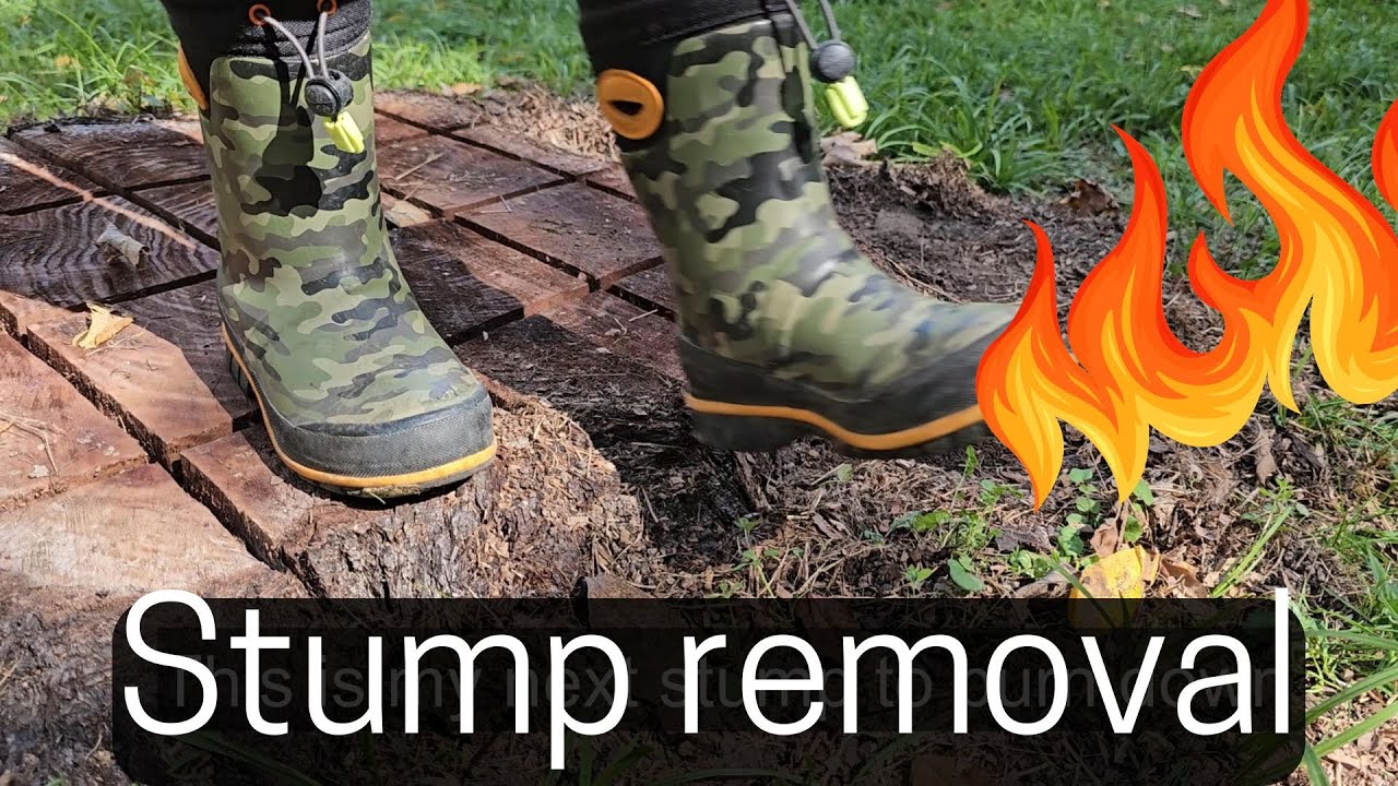 How To Remove a Stump With Fire ... Easiest and quickest Way ... No ...
