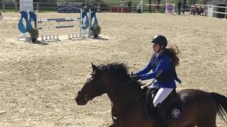 Maria Puren Et Vandal Du Tyria 1Er Avril 2017 Tda Magnanville Sf 125Cm