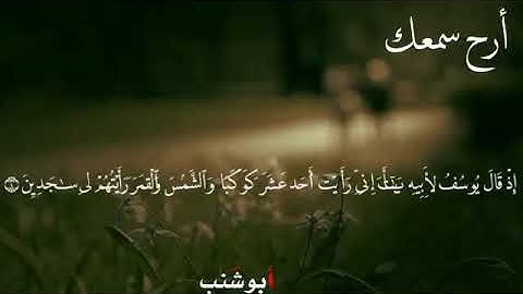 اجمل حالة واتس اب قرآن كريم للقارئ الشيخ سعد الغامدي