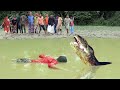 Snake Attack Fish Hunter | Fun made Giant Snake Attack and Rescue Film