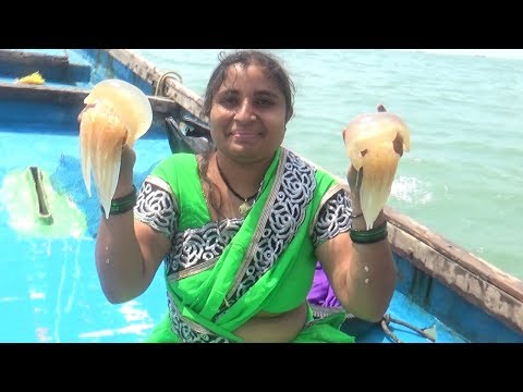 Village Foods- Amazing Live Jelly Fish Catching In Ocean And South Indian Style Cooking My Village