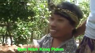 DEDARE BIDENG SASAK LOMBOK