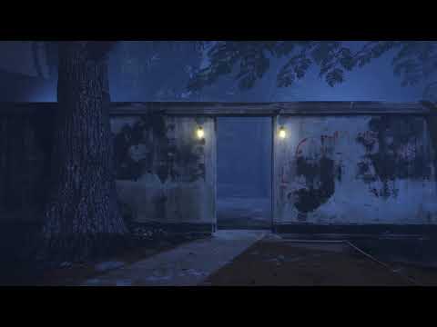 Projection " Video Projection " eevee Render "