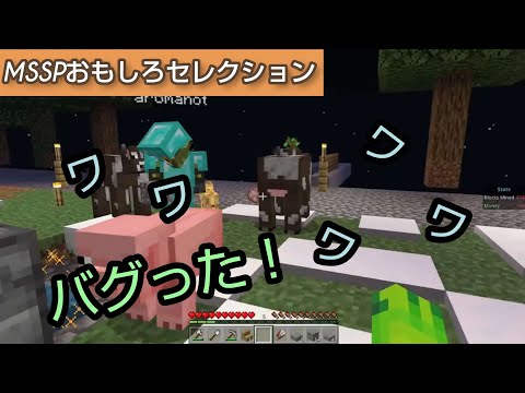 英語を読んでいる途中でバグるFB777[MSSP切り抜き]