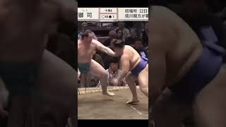 Aonishiki VS Shishi Hatsu Basho 2025 Sumo #sport #sumo #japan #япония #wwe #сумо #mma #ufc #борьба